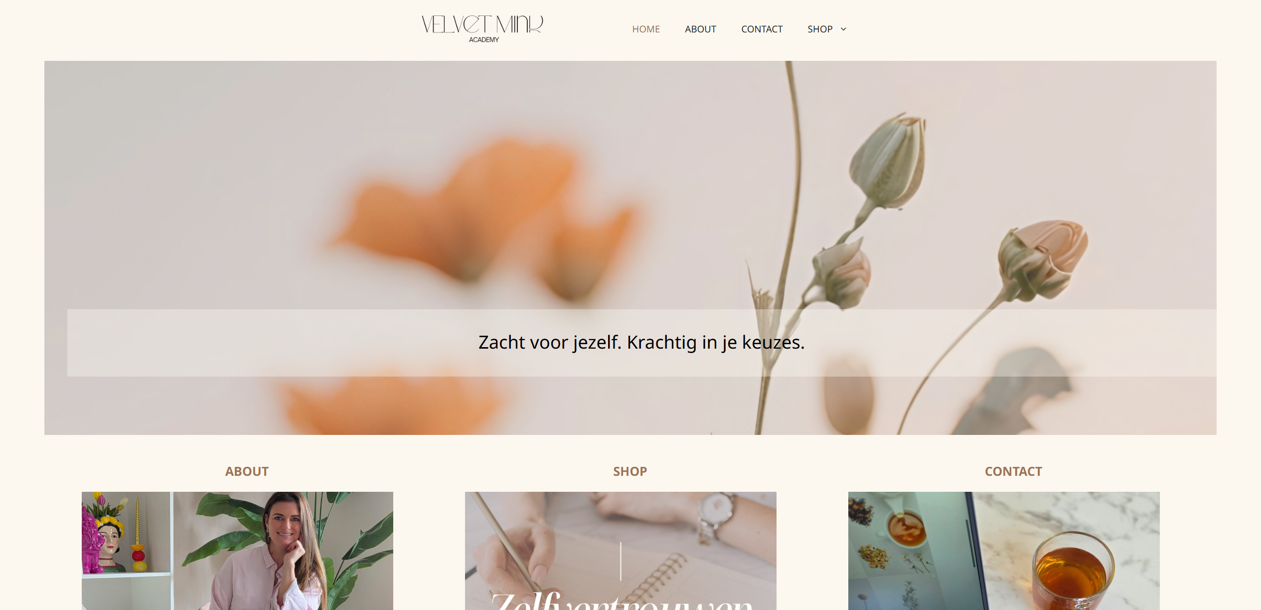 Velvet Mind Academy Website